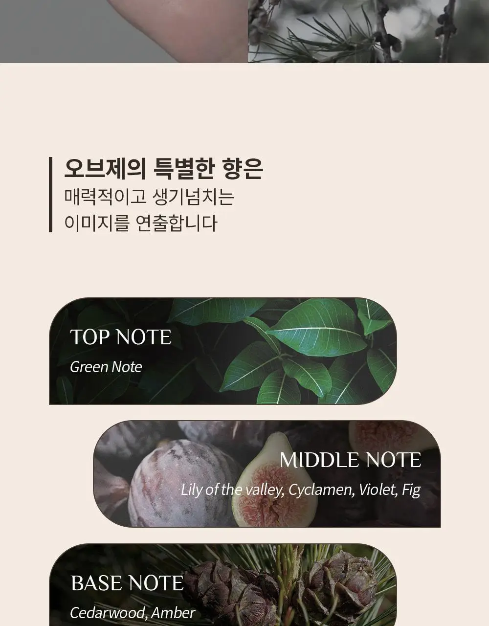 [덱스 PICK]오브제 멜로우 클레이 포마드100g 상세페이지 17